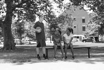 Avulsion Fractures of the Ischial Tuberosity of the Pelvis