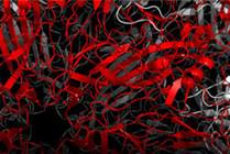 Computational Resources