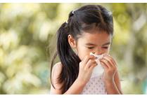 Your Summer Safety Guide