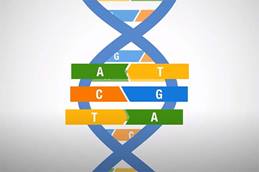 What is DNA?