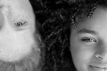 Inflatable Bouncer Safety