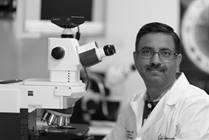 International Employee Resources