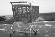 Shopping Cart Safety