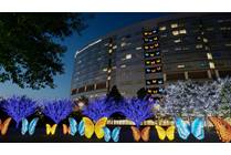 Light Up the Lawn, Light Up a Life