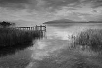 Waterskiing & Wakeboarding