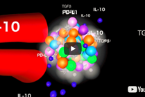 Tim Cripe: Bluffing Cancer